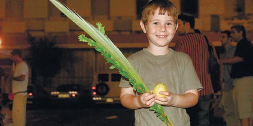 Sukkah 43: My Lulav Is Better Than Yours | Torah In Motion