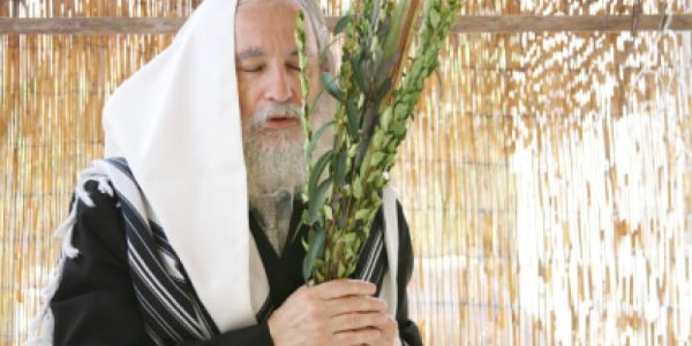 Sukkah 36: Lulav in the Sukkah | Torah In Motion