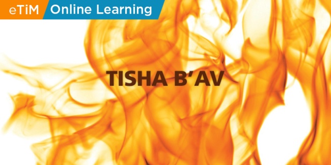 Tisha B Av Program 2020 Torah In Motion